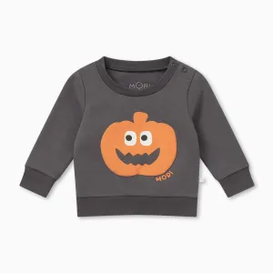 Pumpkin Organic Cotton Sweatshirt