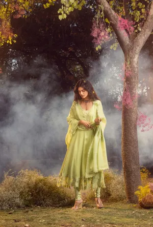 Soft Green Anarkali Set